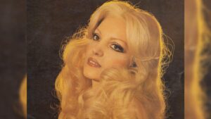 Ayla Dikmen – Anlamazdın Şarkı Sözleri