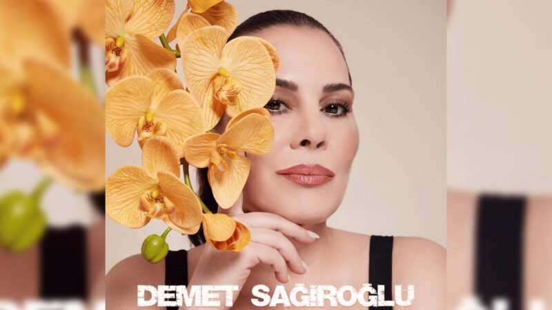 Demet Sağıroğlu – Resmen Haksızlık Şarkı Sözleri