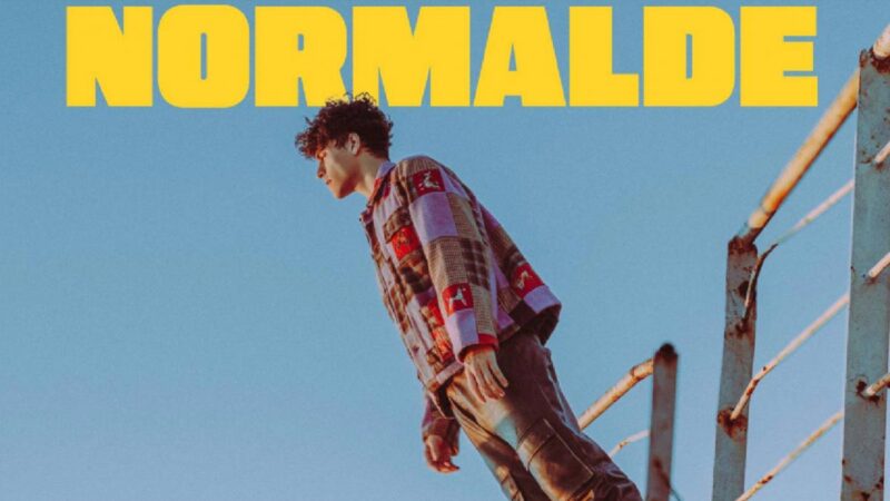 Ege Can Sal – Normalde Şarkı Sözleri