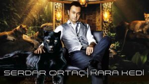 Serdar Ortaç – Kara Kedi Şarkı Sözleri