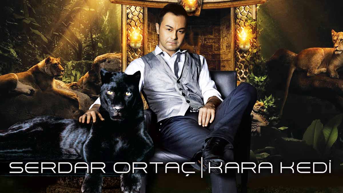 Serdar Ortaç – Kara Kedi Şarkı Sözleri