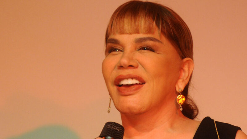 Sezen Aksu – Begonvil Şarkı Sözleri