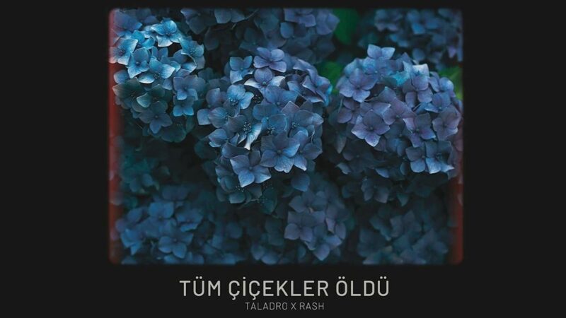 Taladro & Rash – Tüm Çiçekler Öldü Şarkı Sözleri