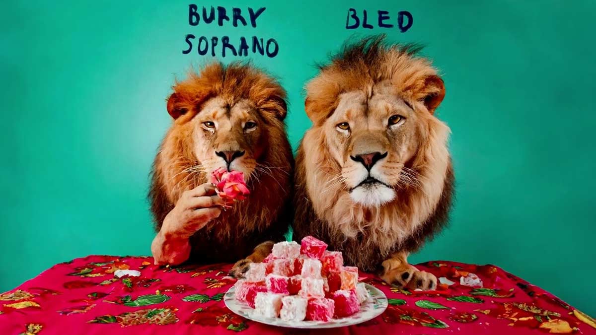Burry Soprano & Bled – Yelken (Taşlı Yollara) Şarkı Sözleri