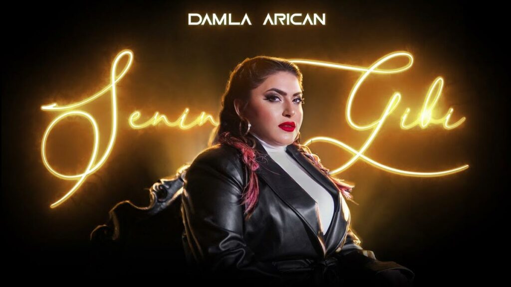 Damla Arıcan – Senin Gibi video