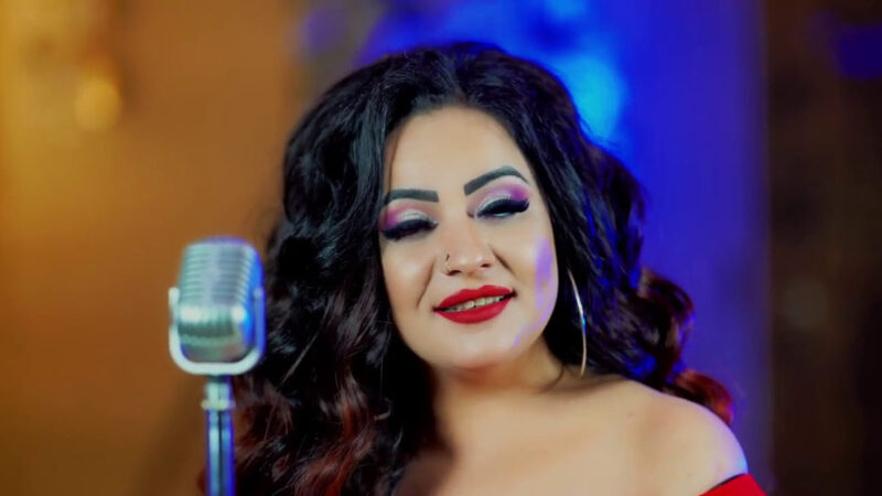 Havva Öğüt – Bir Gönlüne Ben Sığmadım Şarkı Sözleri