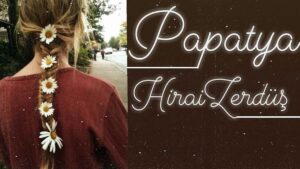 Hiraizerdüş – Papatya Şarkı Sözleri
