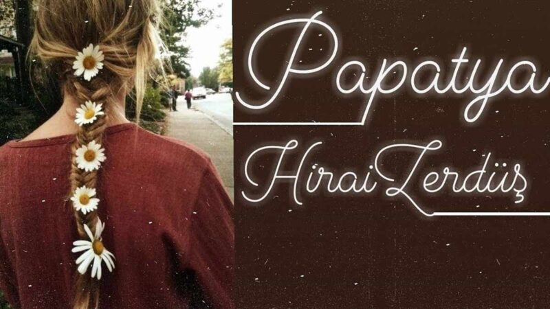 Hiraizerdüş – Papatya Şarkı Sözleri
