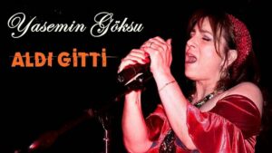 Yasemin Göksu – Aldı Gitti Şarkı Sözleri