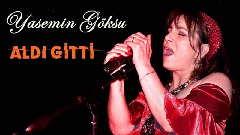 Yasemin Göksu – Aldı Gitti Şarkı Sözleri