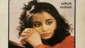 Ayşe Mine – Erkek Milleti Şarkı Sözleri