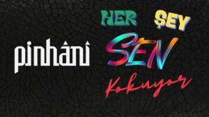 Pinhani – Her Şey Sen Kokuyor Şarkı Sözleri