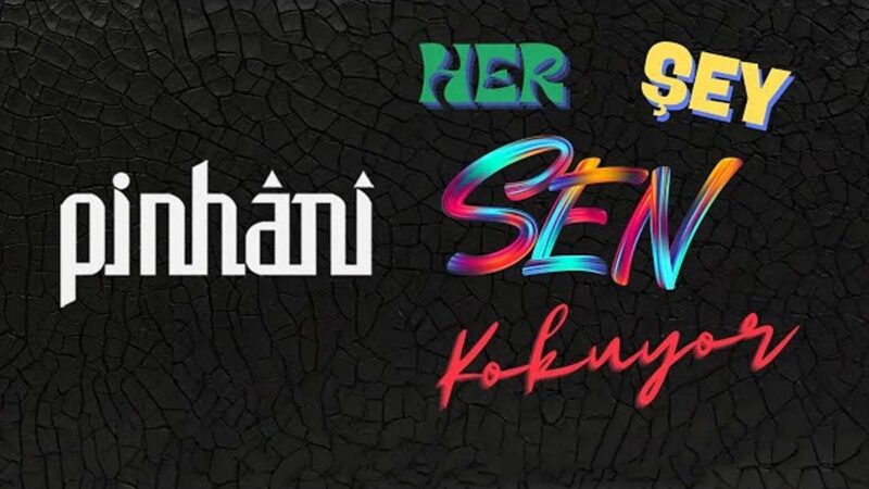 Pinhani – Her Şey Sen Kokuyor Şarkı Sözleri