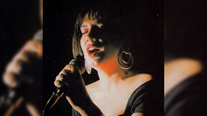 Sezen Aksu – Erkek Güzeli Şarkı Sözleri