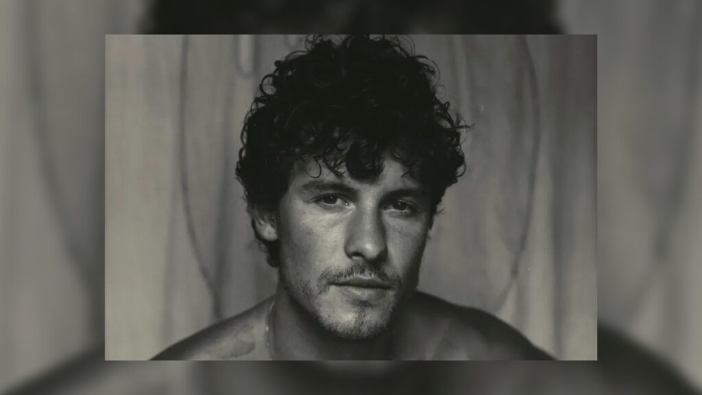 Shawn Mendes – Why Why Why video