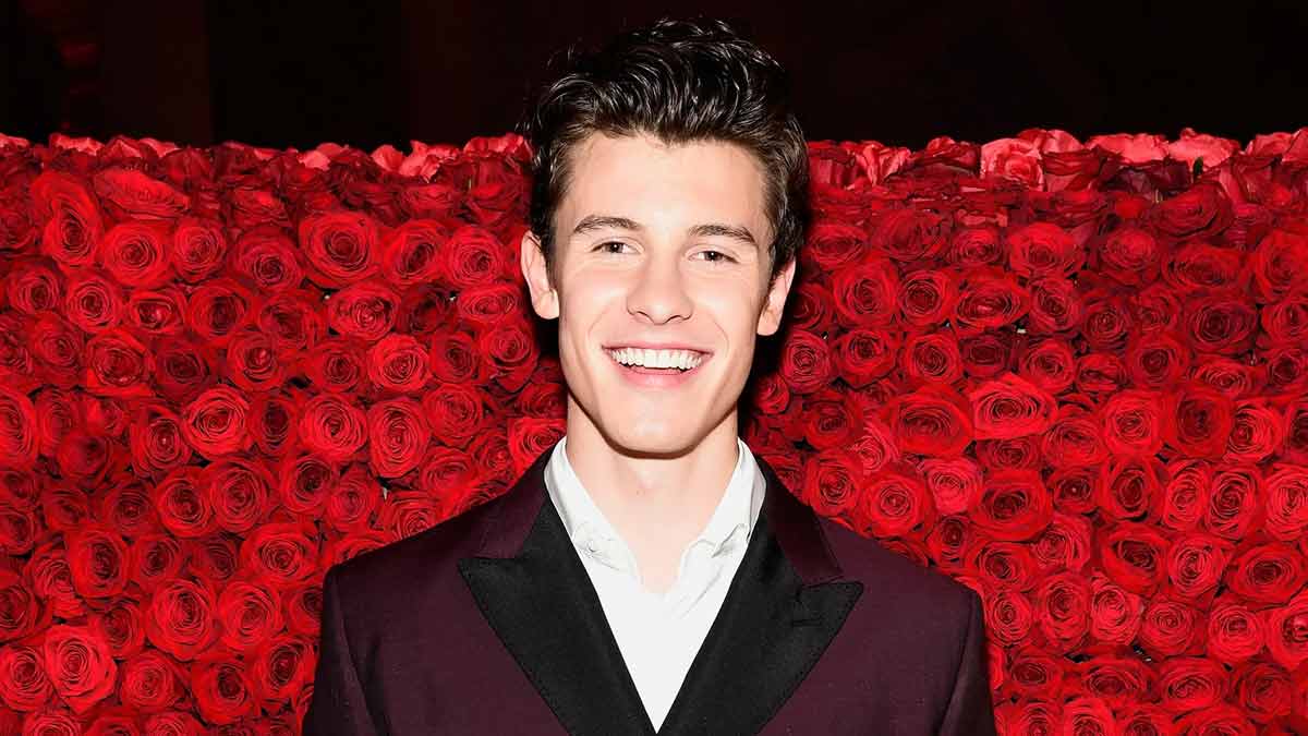 Shawn Mendes – That's The Dream Şarkı Sözleri