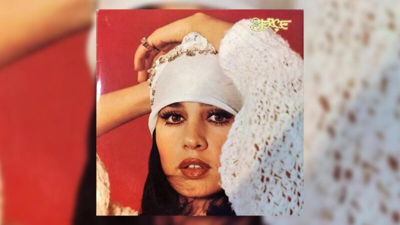 Sezen Aksu – Aşk Şarkı Sözleri