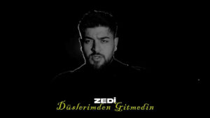 Zedi – Düşlerimden Gitmedin Şarkı Sözleri