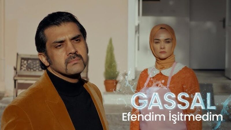 Bayhan – Efendim İşitmedim Şarkı Sözleri