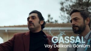 Bayhan – Vay Delikanlı Gönlüm Şarkı Sözleri