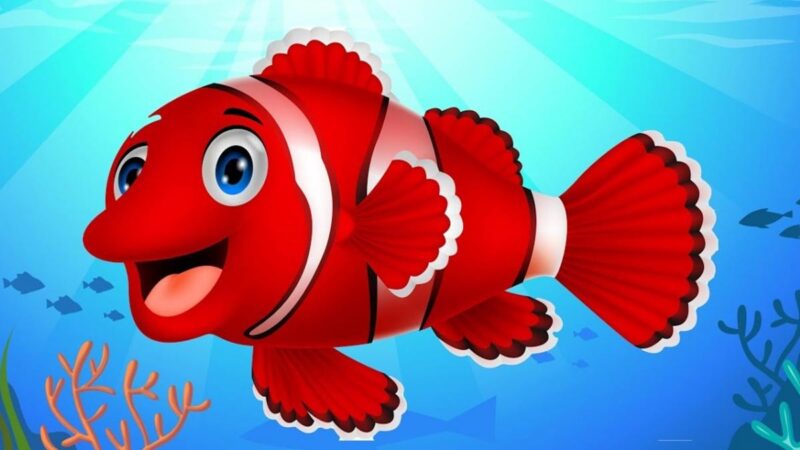 Kırmızı Balık Şarkı Sözleri