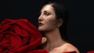 Sibel Can – Bize Has Şarkı Sözleri