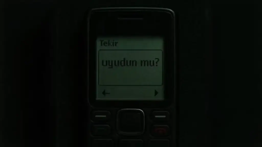 Tekir – Uyudun mu? Şarkı Sözleri
