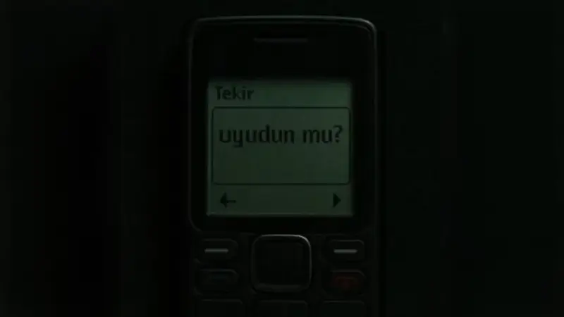 Tekir – Uyudun mu? Şarkı Sözleri