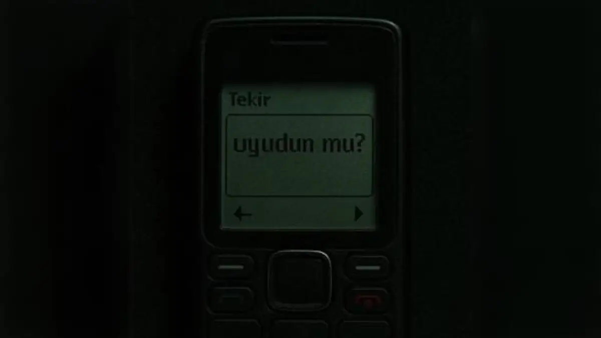 Tekir – Uyudun mu? Şarkı Sözleri
