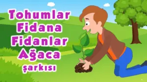 Alpi ve Arkadaşları – Tohumlar Fidana Şarkı Sözleri