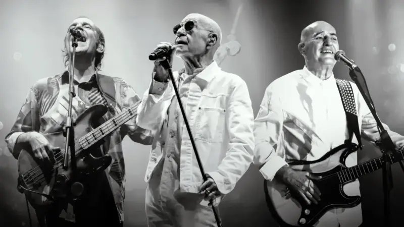 MFÖ – Sarı Laleler Şarkı Sözleri