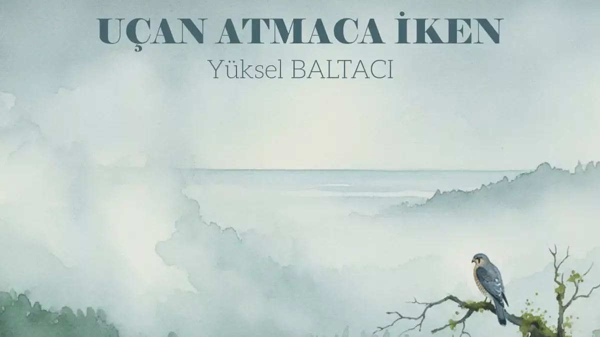 Yüksel Baltacı – Uçan Atmaca İken Şarkı Sözleri