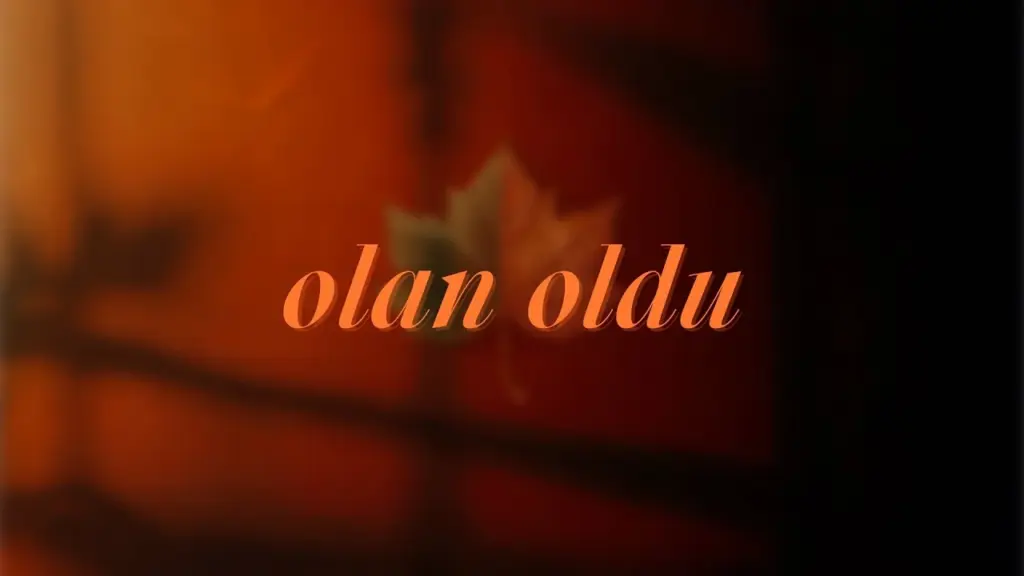Batuhan Kordel – Olan Oldu video
