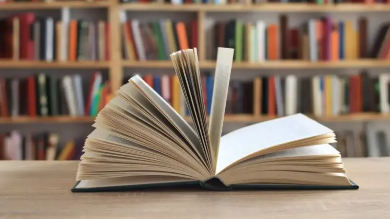 büyüleyici kitap alıntıları