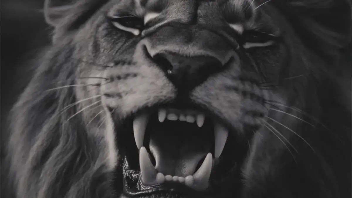 Keskin – Aslan Yakışmaz Kafeste video