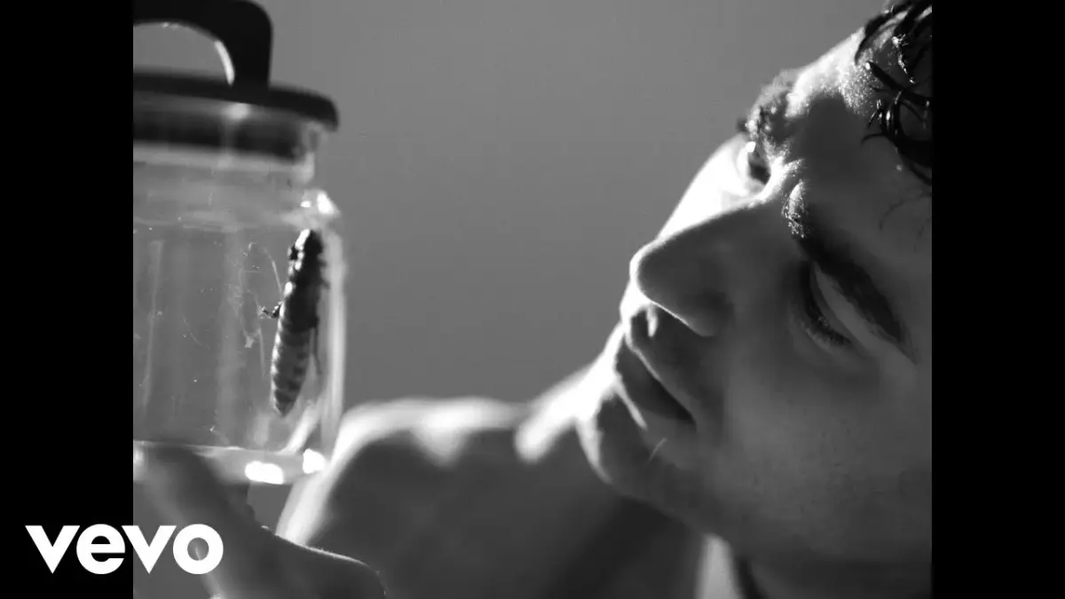 Aksan & Uzi – Boşuna video