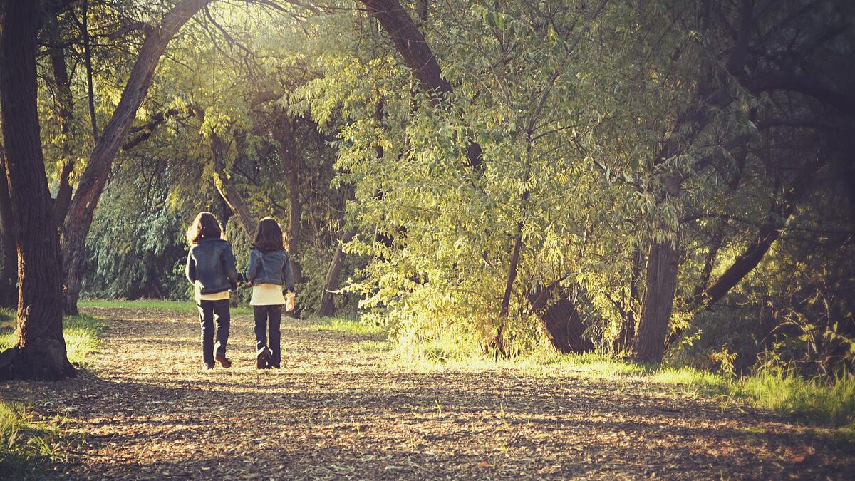 Ağaçların gölgesindeki toprak bir park yolunda, arkadan görünen iki çocuğun yan yana yürüyüşü