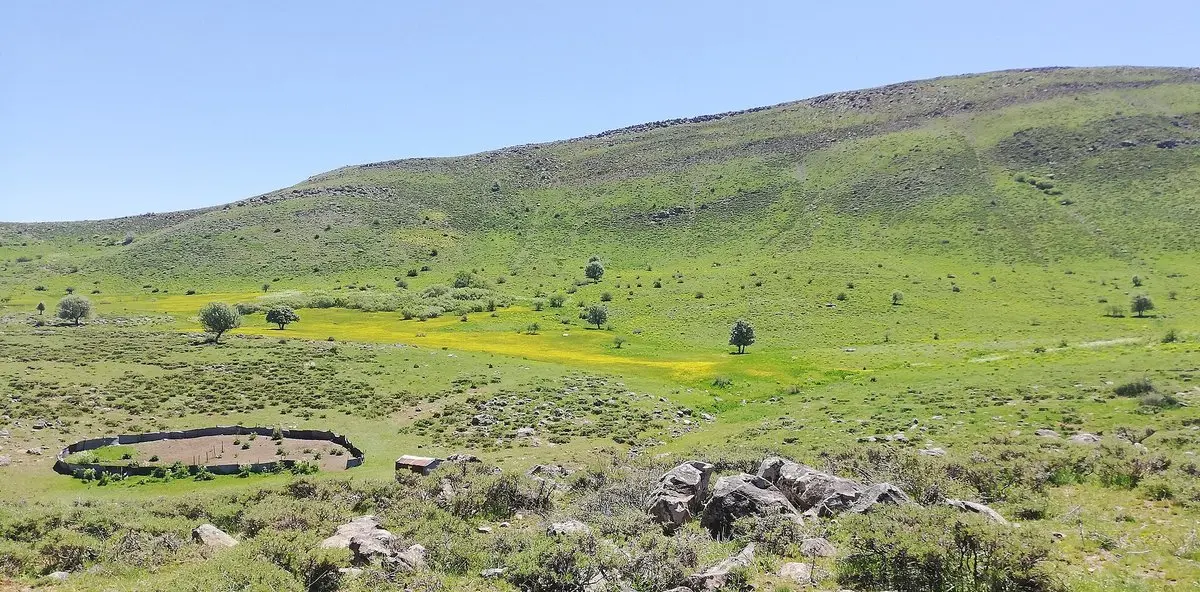 Bingöl’deki Sarı Yayla: yeşil çayırlarla kaplı geniş yamaçlar, dağınık kayalar ve taştan bir hayvan ağılı