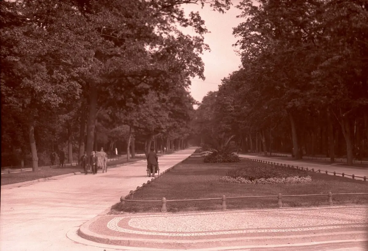 Berlin'deki Tiergarten parkında iki yanı yüksek ağaçlarla çevrili geniş bir yürüyüş yolu, ortada çiçek tarhları ve yolda yürüyen birkaç kişi, sepya tonlu eski fotoğraf