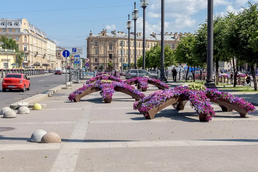St. Petersburg’daki Sennaya Meydanı’nın güneşli bir yaz gününde bugünkü görünümü; mor ve pembe çiçeklerle dolu kemer biçimli saksılar, sokak lambaları ve arkada eski taş binalar