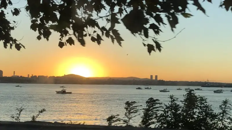 Marmara Denizi üzerinde ufuktan yükselen güneş; turuncu gökyüzü, durgun suda küçük tekneler ve önde ağaç dallarının siluetleri