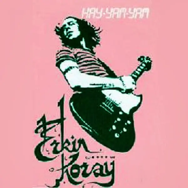 Erkin Koray’ın Hay Yam Yam albüm kapağı; pembe fonda yeşil tonlarda gitar çalan Erkin Koray çizimi
